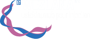wezlana-logo